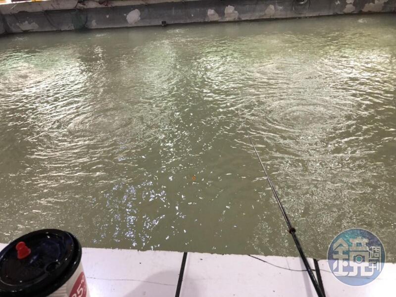 新北某釣蝦場一直被客人抱怨釣嘸蝦，老闆調閱監視器後發現驚人結果。（本刊資料照）