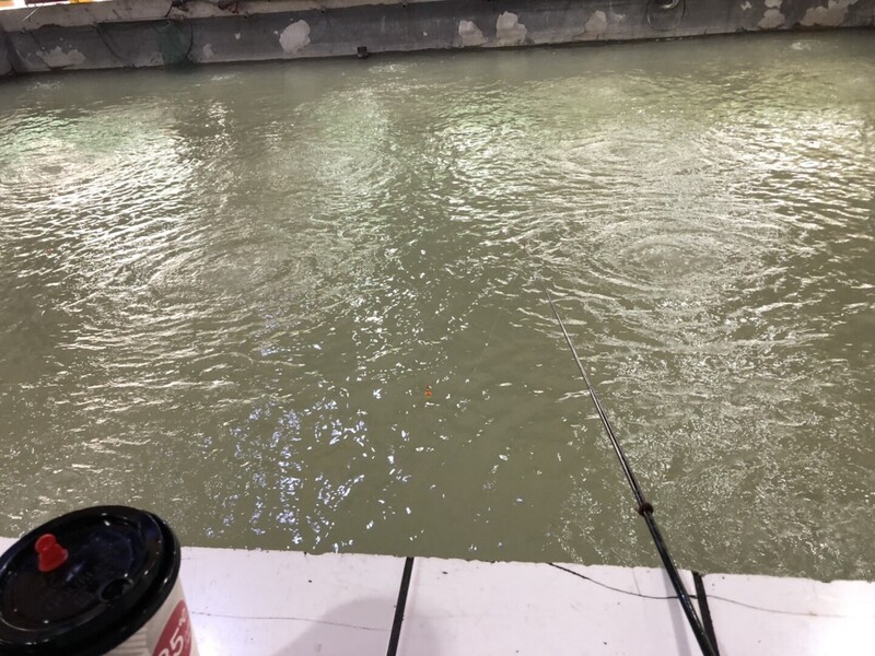 新北某釣蝦場一直被客人抱怨釣嘸蝦，老闆調閱監視器後發現驚人結果。（本刊資料照）