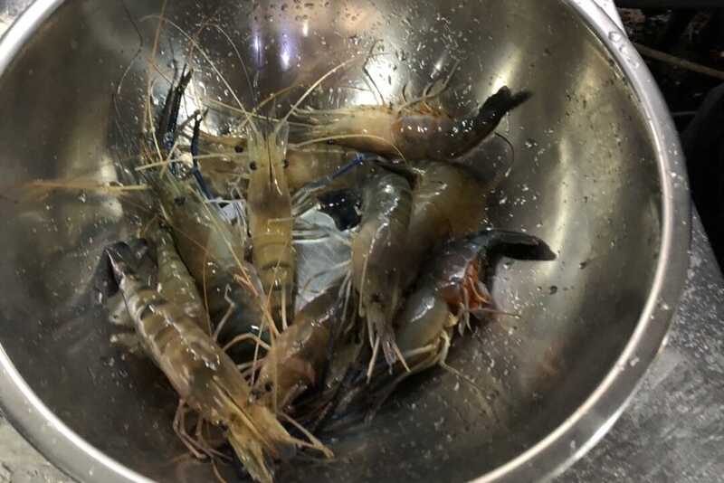 員工把自家釣蝦場當吃到飽餐廳,2個月監守自盜250台斤蝦子。(本刊資料照)