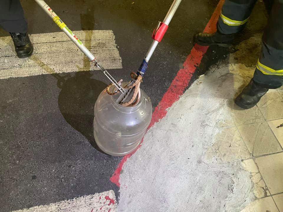 消防人員成功夾出毒蛇後,竟發現是台灣六大毒蛇龜殼花。(翻攝臉書「我是東湖人」)