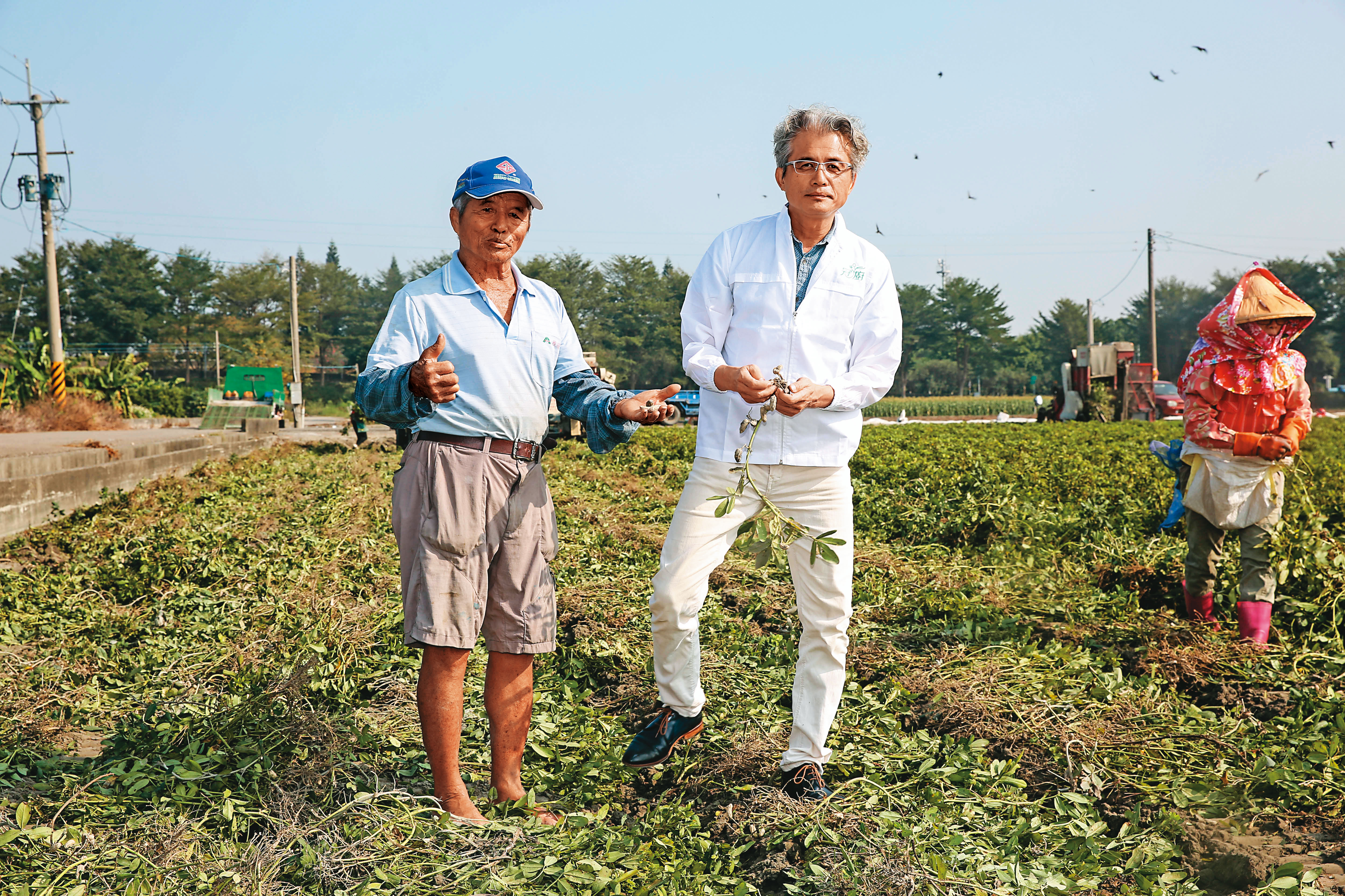 陳宏賓（中）家族在雲林元長鄉有150公頃的土地，他的父親陳錄郎（左）現在還在務農，種植的作物就是冠廚醬料的主要原料。