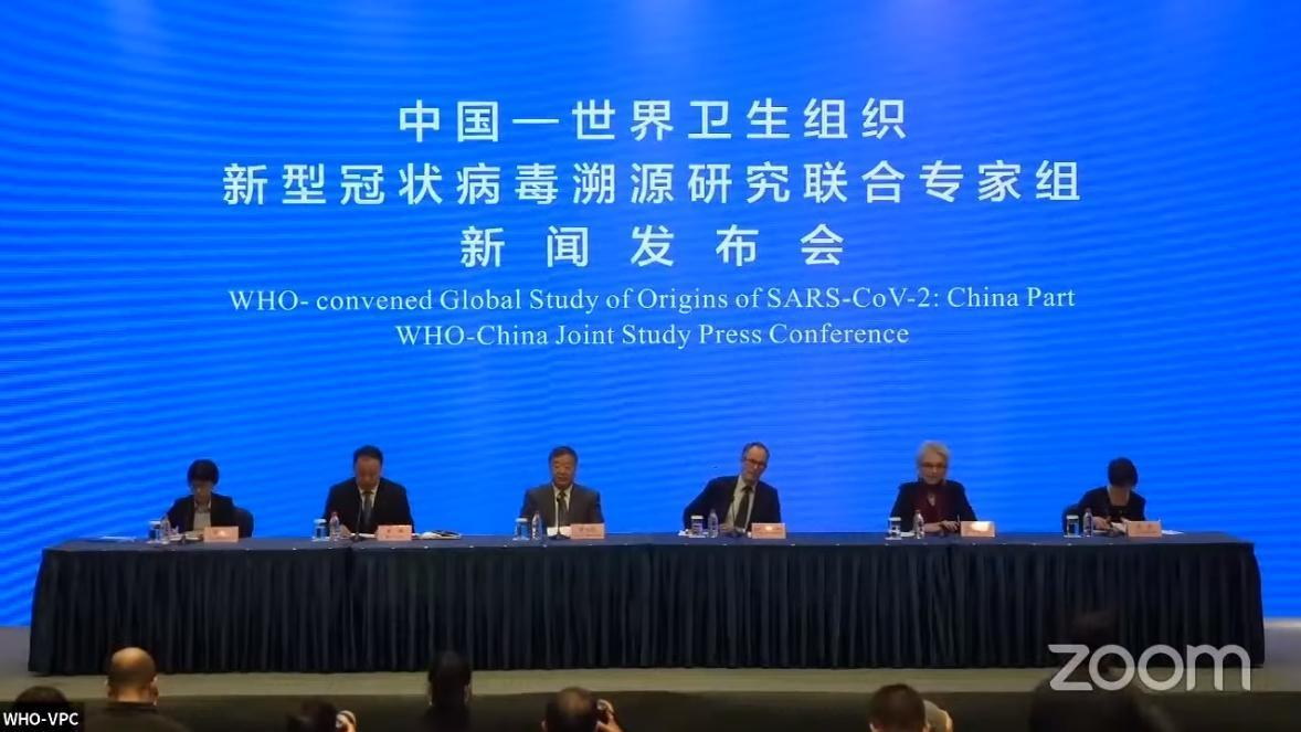 WHO專家團隊赴武漢調查疫情源頭，日前做出相關報告。（翻攝自WHO YouTube）
