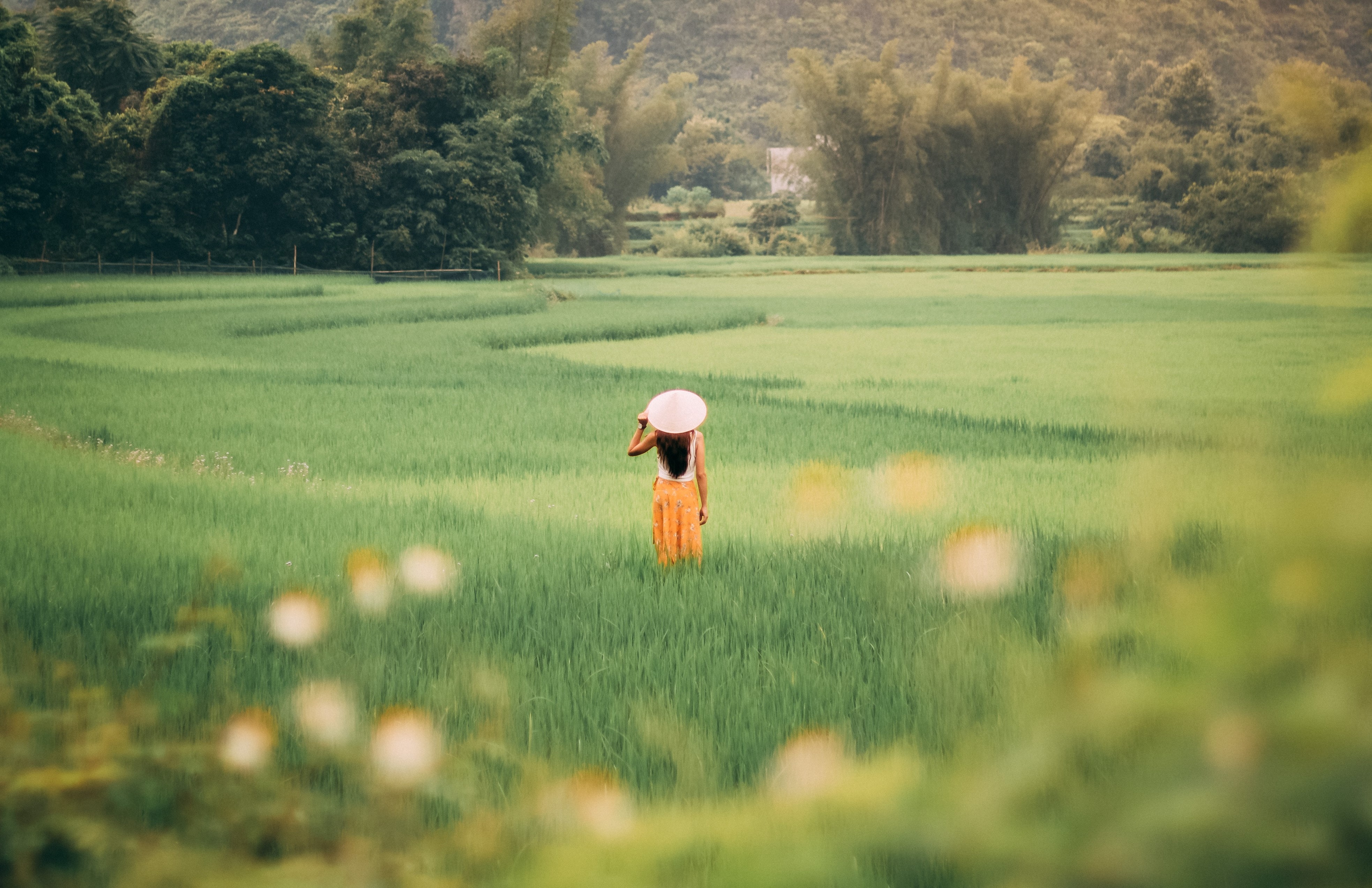 原PO分享自身經驗,奉勸要談異國戀之前,應該「嘗試了解越南文化」「想要透過什麼方式結婚?」「婚後怎麼面對歧視」「如何解決價值觀的差異?」(示意圖,Pexels)