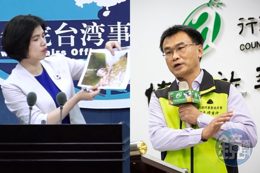 國台辦發言人朱鳳蓮（左）今亮出鳳梨害蟲的照片，農委會主委陳吉仲（右）則回應稱希望國台辦不要都透過媒體喊話。（翻攝自國台辦微博、本刊資料照）