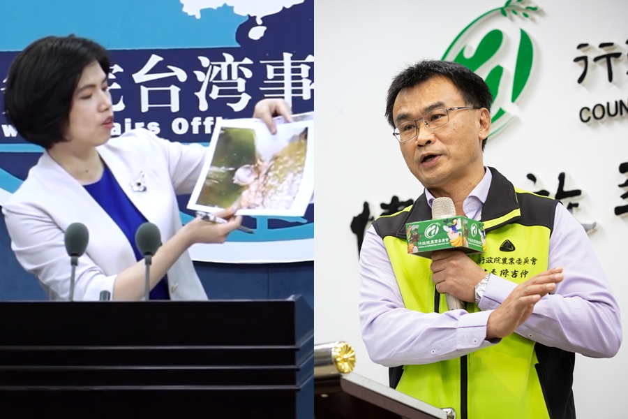 國台辦發言人朱鳳蓮（左）今亮出鳳梨害蟲的照片，農委會主委陳吉仲（右）則回應稱希望國台辦不要都透過媒體喊話。（翻攝自國台辦微博、本刊資料照）