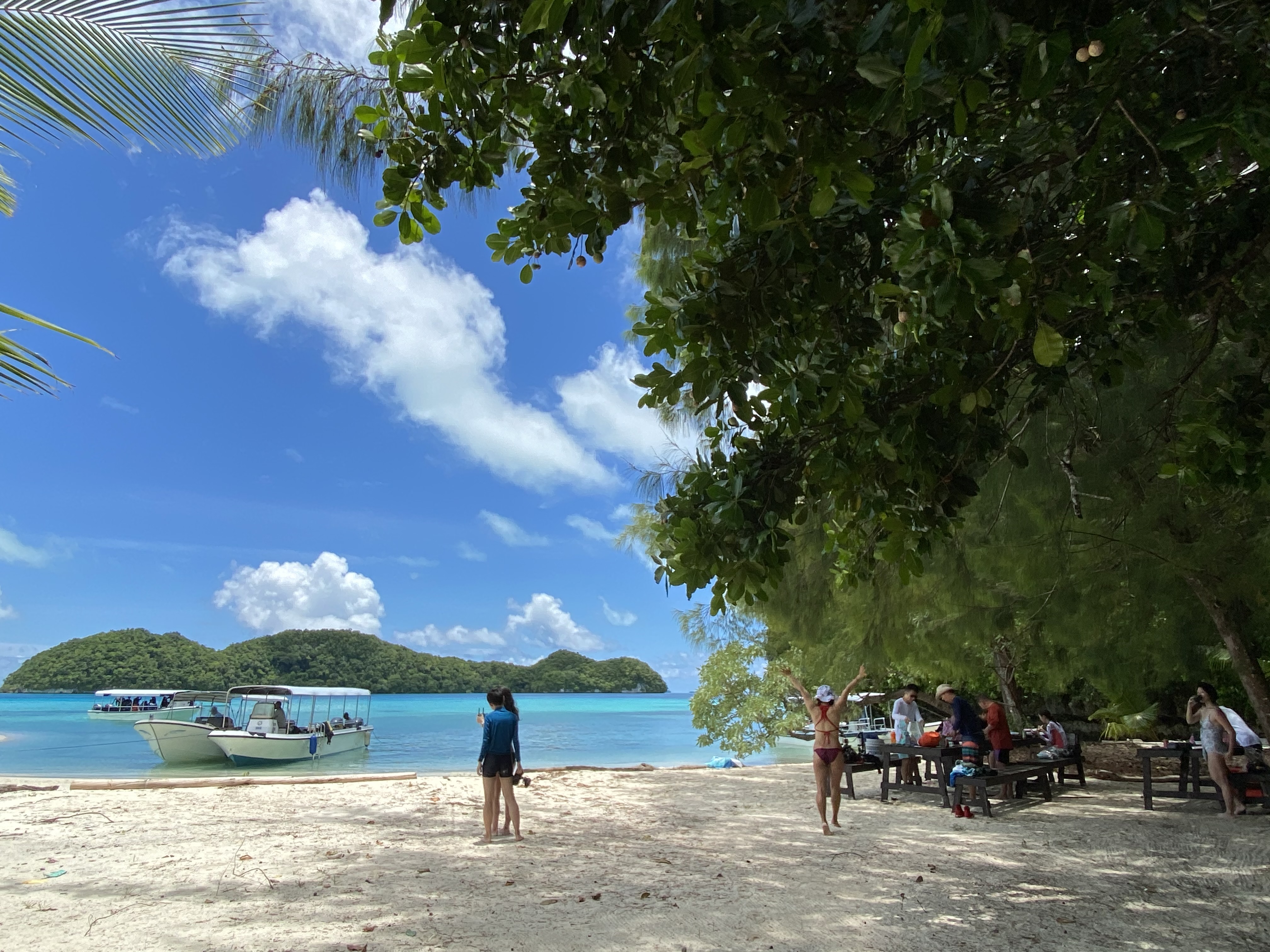 台帛旅遊泡泡傳出最快14日首航，副指揮官陳宗彥指出，帛琉團回台將維持5天加強版自主健康管理和9天自主健康管理。（本刊資料照）