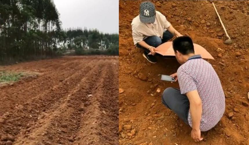 中國大陸一名蘇姓男子的家族墓地被村幹部「承包給別人種甘蔗」,讓他們不得不掘土尋墓。(翻攝自「武子哥」微博)