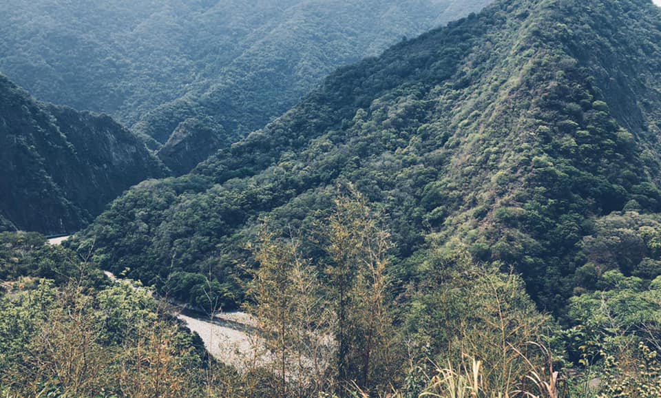 蔣勳寫詩，道盡對太魯閣號事故的哀傷與悲憤。（翻攝蔣勳臉書）