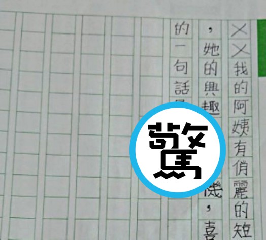 小三童寫作文介紹阿姨最喜歡講「1字國罵」。(翻攝自「爆料1公社」臉書)