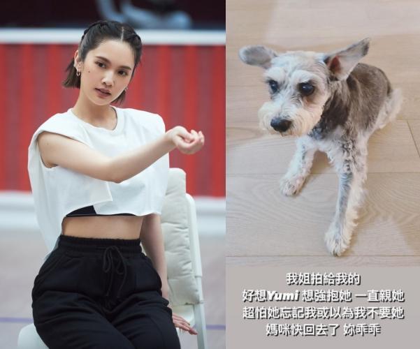 楊丞琳是中國大陸選秀節目《乘風破浪的姐姐2》成團的熱門人選,但她日前分享愛犬的貼文,卻疑似洩漏她將回台的消息。(翻攝自《乘風破浪的姐姐2》微博、楊丞琳IG)
