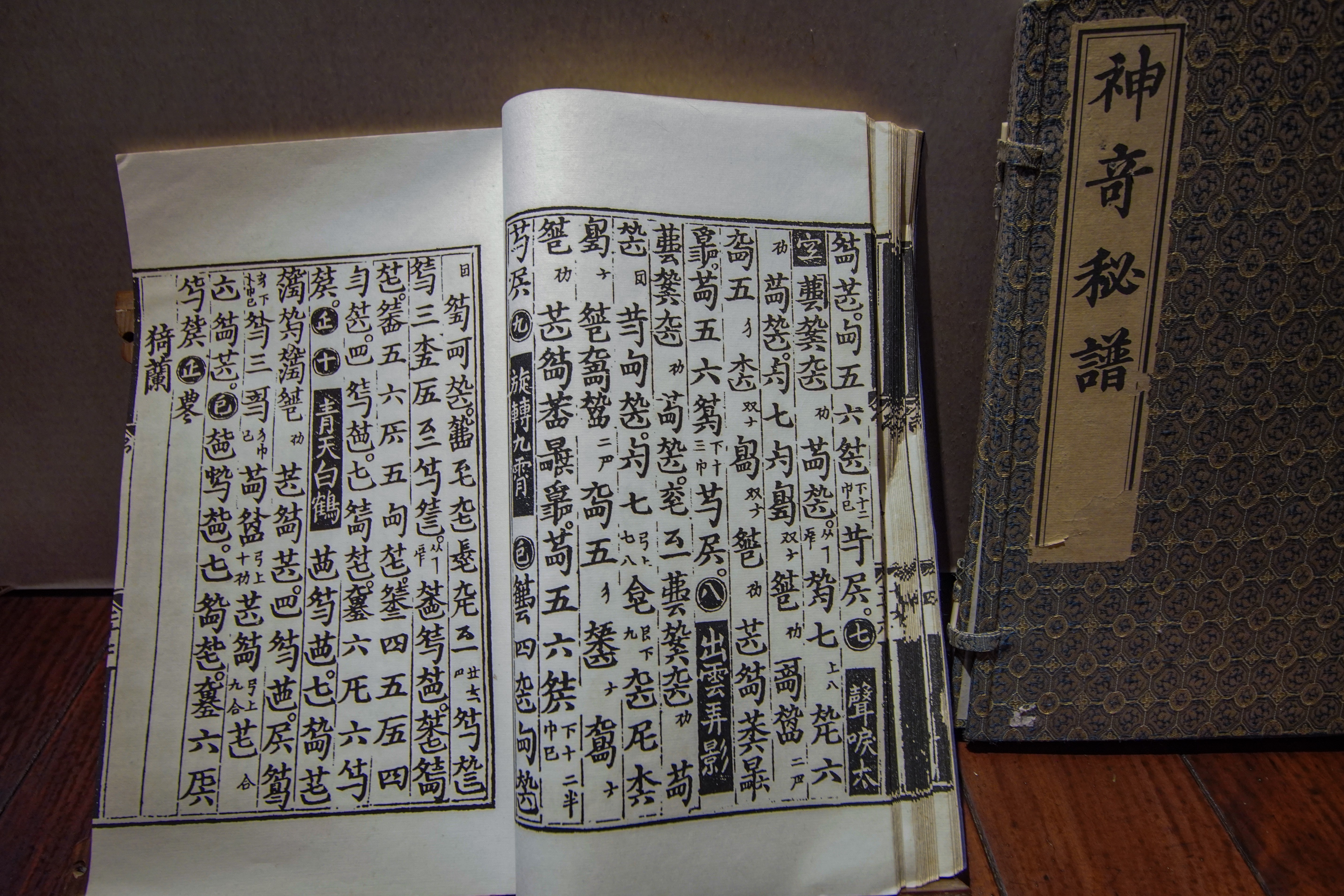 古琴的琴譜並非五線譜，而是文字譜。