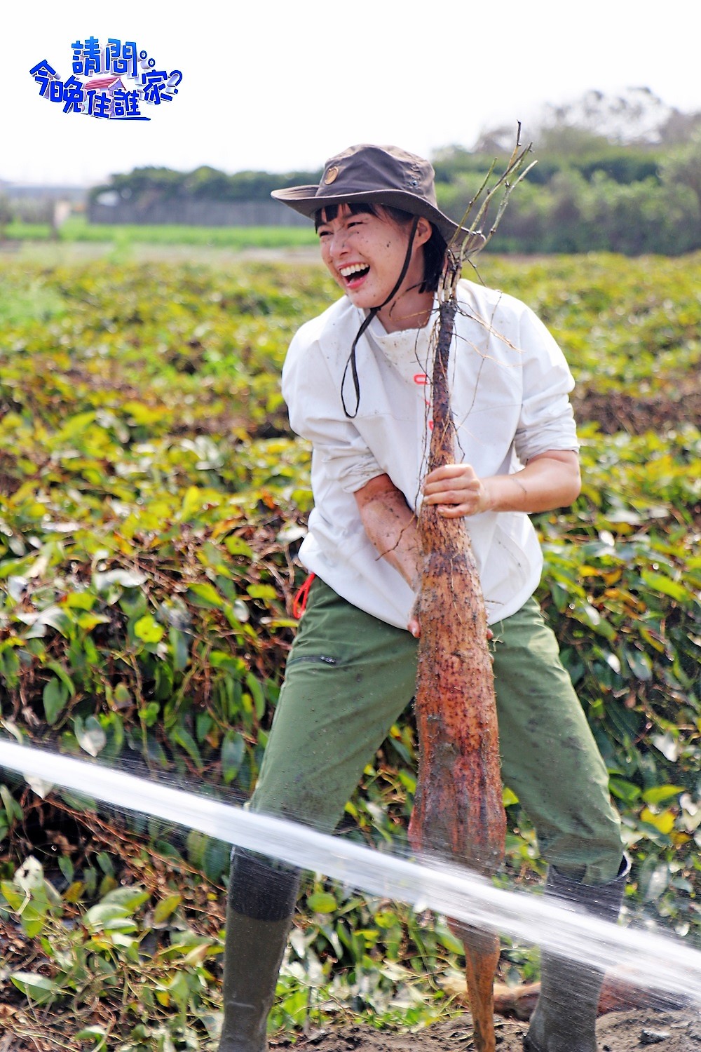 李佳穎收穫巨大山藥,一臉興奮的樣子。(東森提供)
