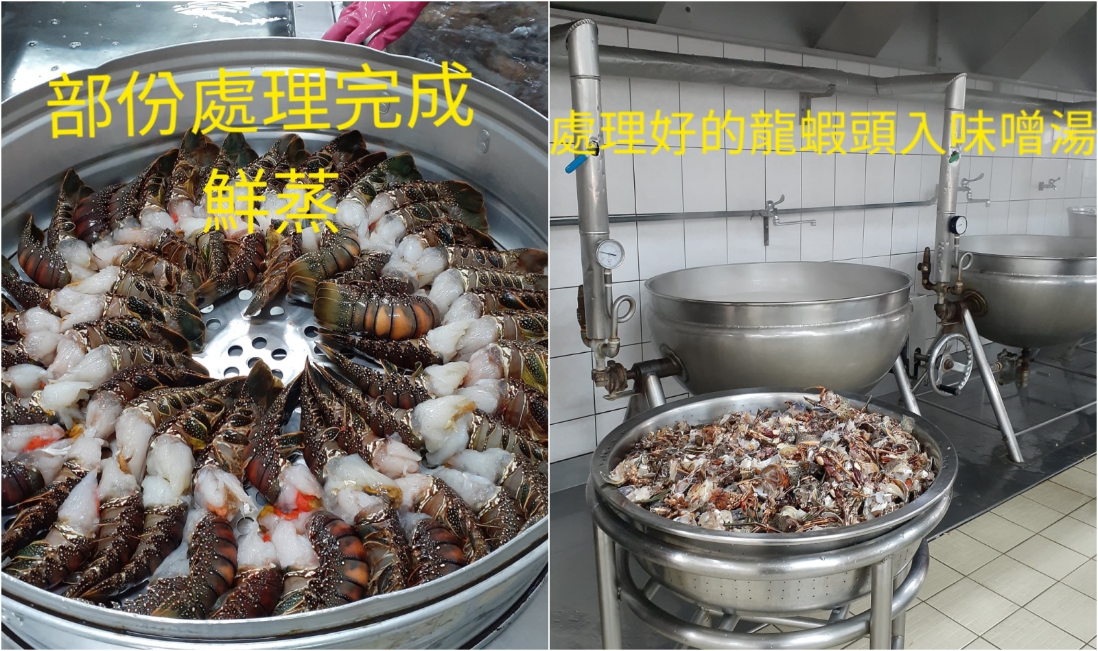 校方在臉書po出本次龍蝦大餐的處理過程,感謝所有校廚和專業人士的努力。(翻攝雲林縣北港鎮南陽國小臉書)