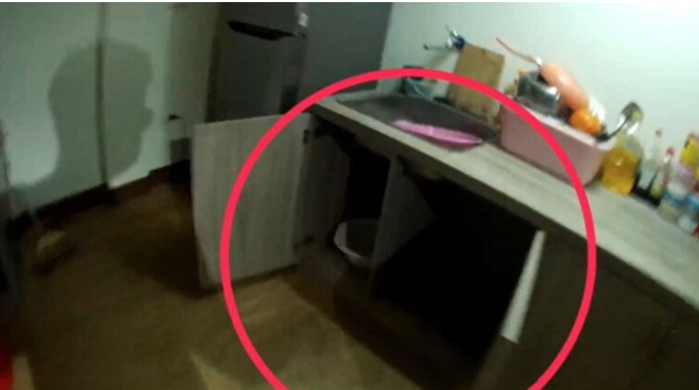 業者在廚房流理台下方設置暗門，讓小姐可以進入密室躲藏規避查緝。（讀者提供）