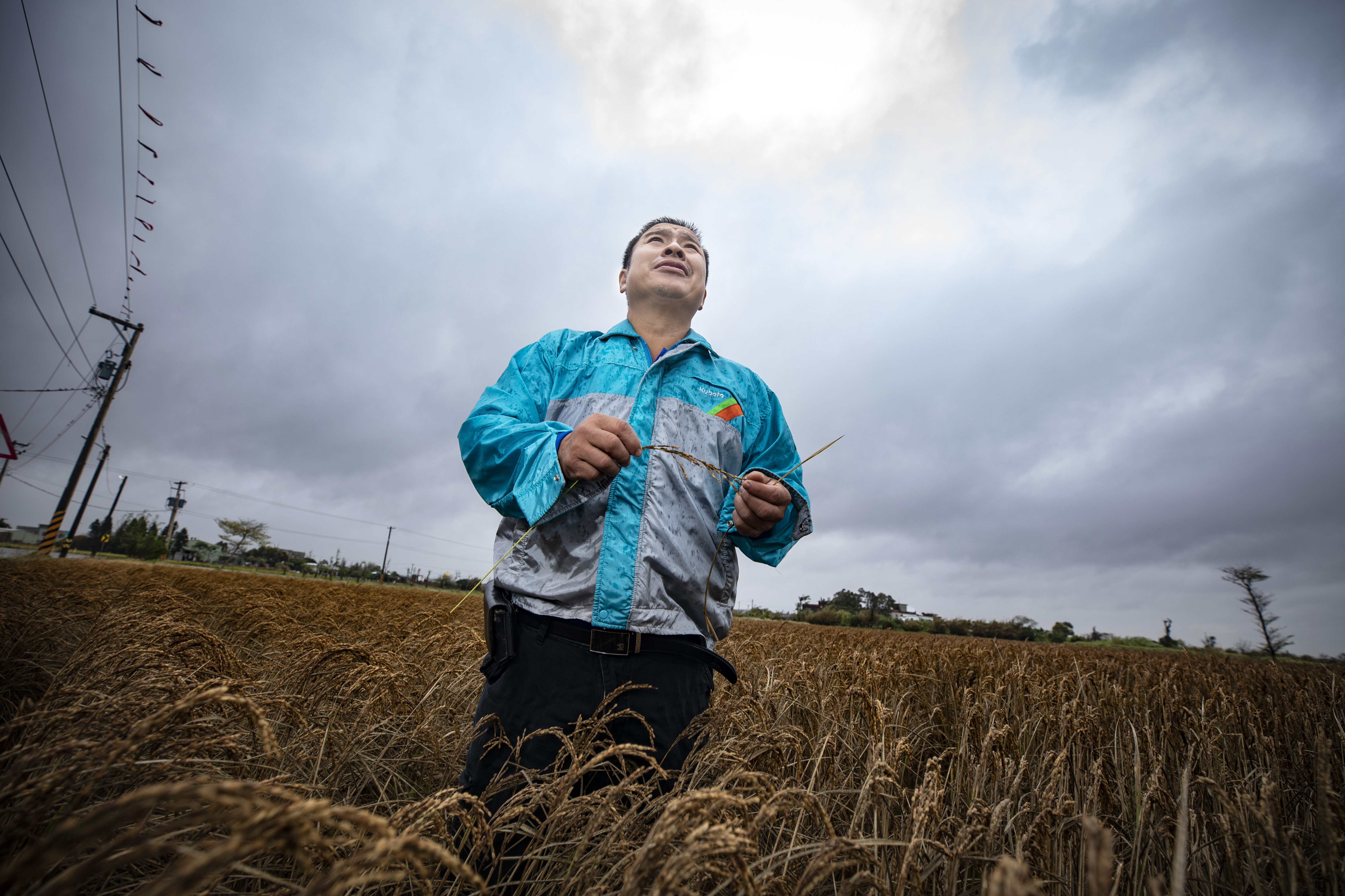 人物專題《政府殺了我的稻　台灣農業缺水危機》，圖為新屋農民莊育來。攝影王漢順。