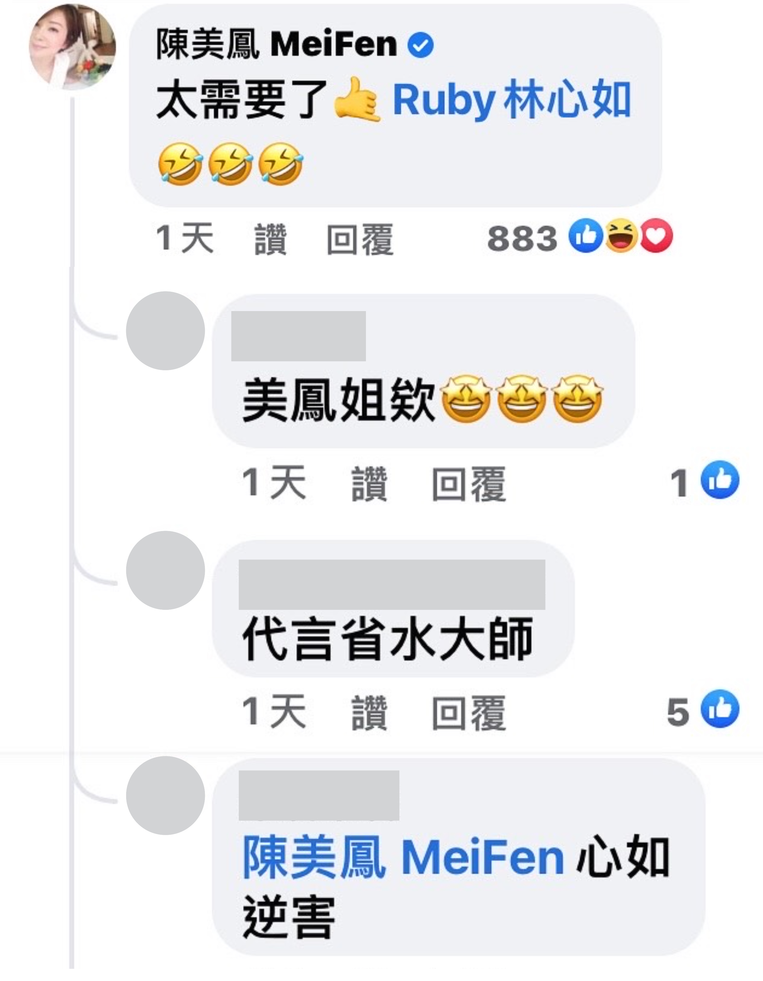 對於「心如止水」,美鳳姐回覆:「太需要了!」(翻攝自垃圾文界的一位美少年臉書)