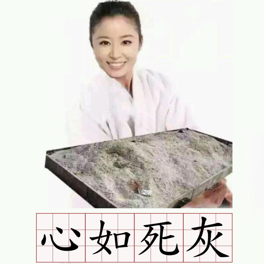  林心如對於歷史5,000年的中國成語貢獻良多，「心如死灰」也是一例。（翻攝自PTT）