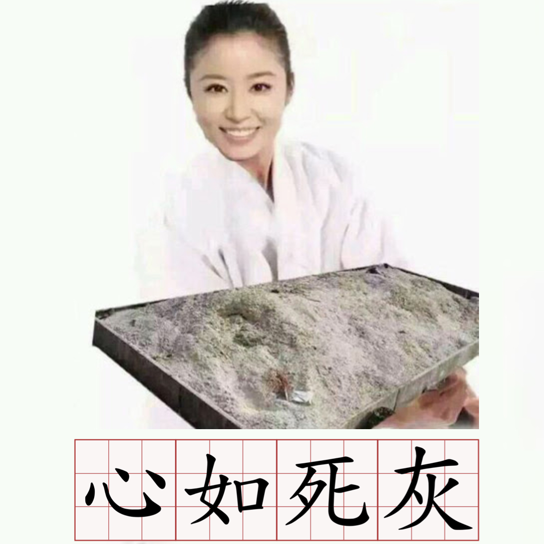 林心如對於歷史5,000年的中國成語貢獻良多,「心如死灰」也是一例。(翻攝自PTT)