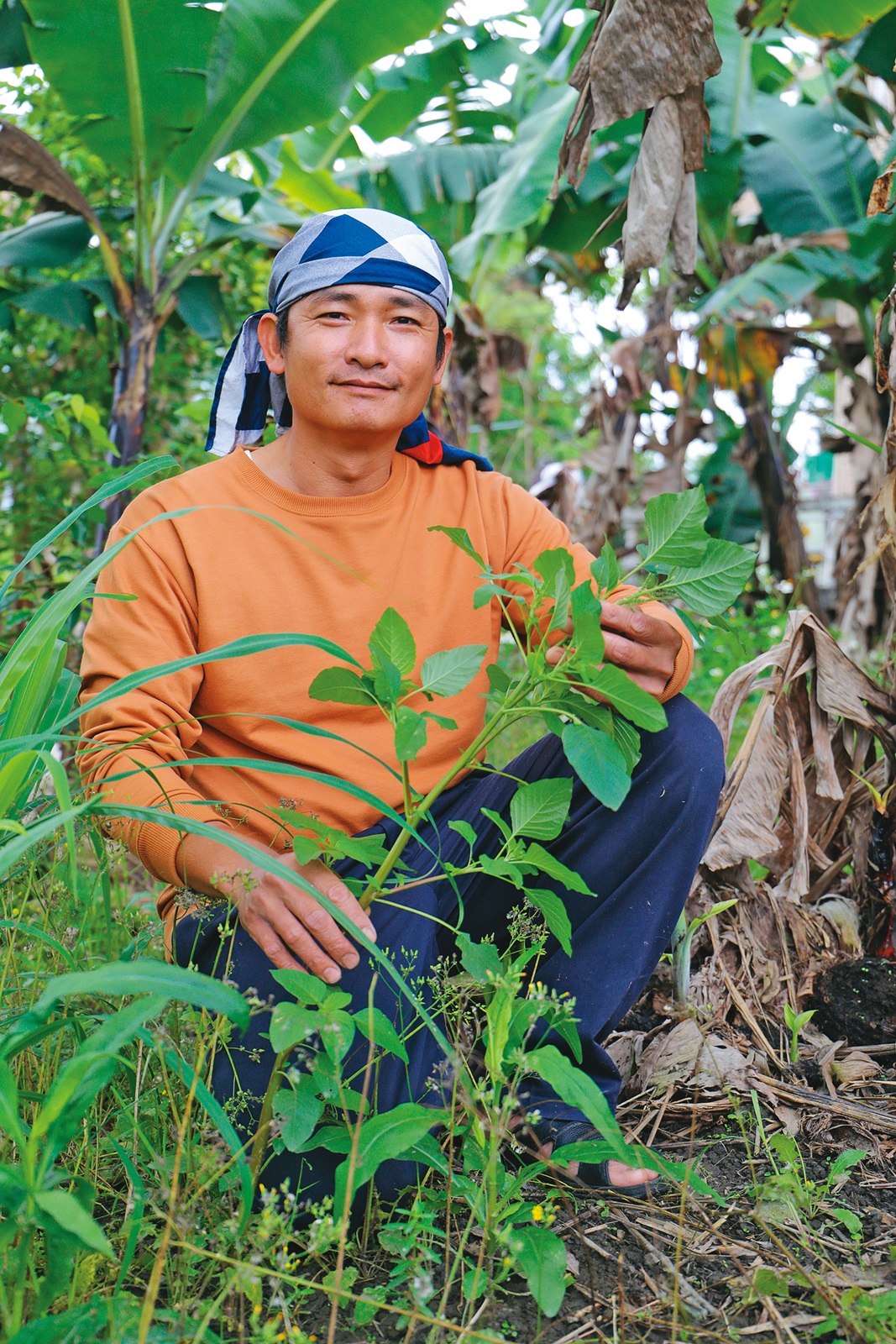 阿美族人陳關亥是野菜達人，在民宿推出採野菜、抓魚等體驗活動。