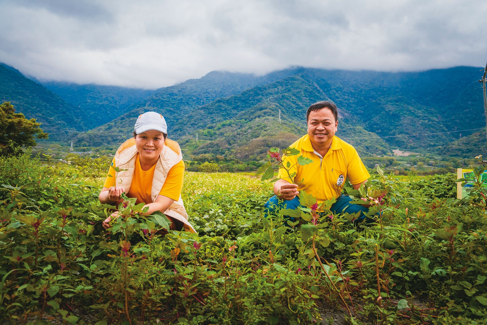 林振球夫妻在自家農場種植各種野菜，讓遊客體驗摘採樂趣。
