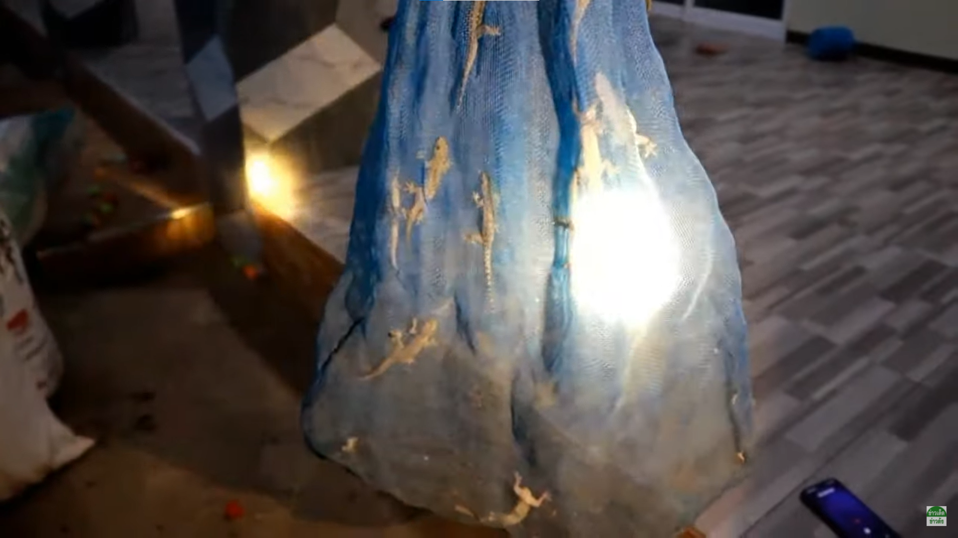 泰國男子倫蒂瓦農自製「壁虎乾」賣到中國大陸。（翻攝自ข่าวเด็ด ข่าวดัง YouTube）