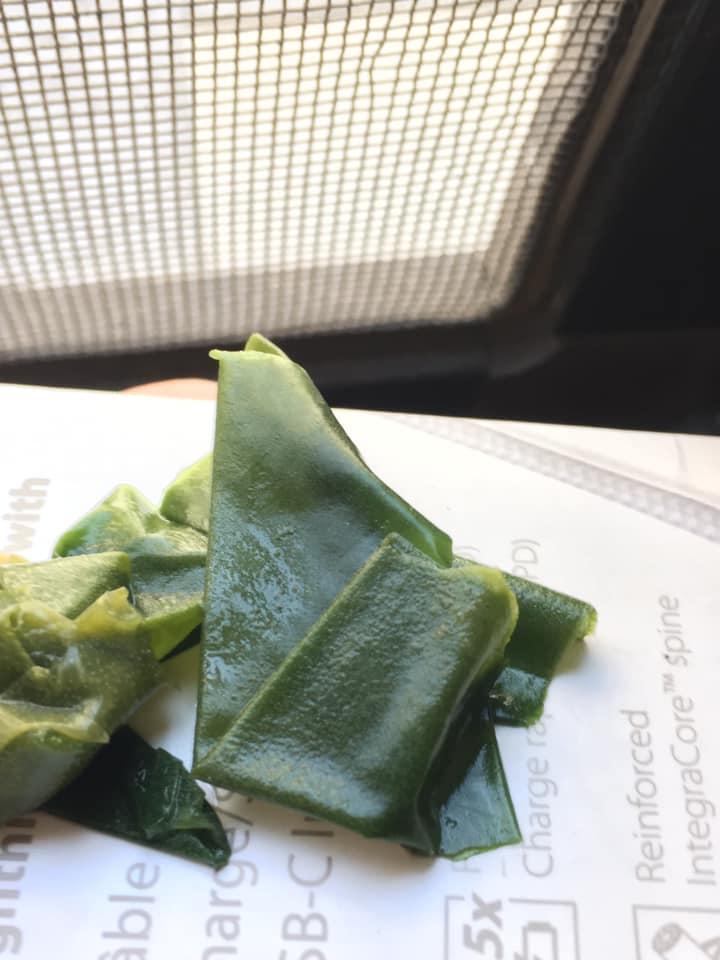 一名網友表示清洗家中洗衣機水管時,清到很多類似海帶的片狀物。 (翻攝自爆系知識家Facebook)