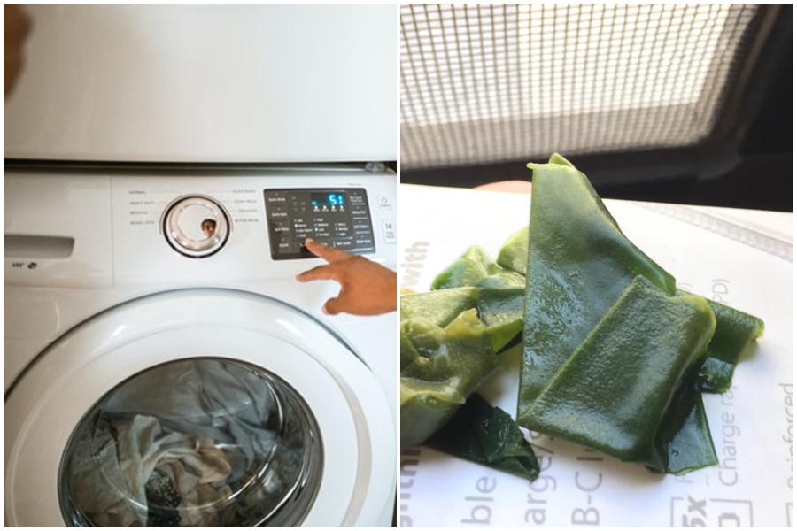 有網友發現水管有類似海帶的東西。（翻攝自Pexels/爆系知識家）