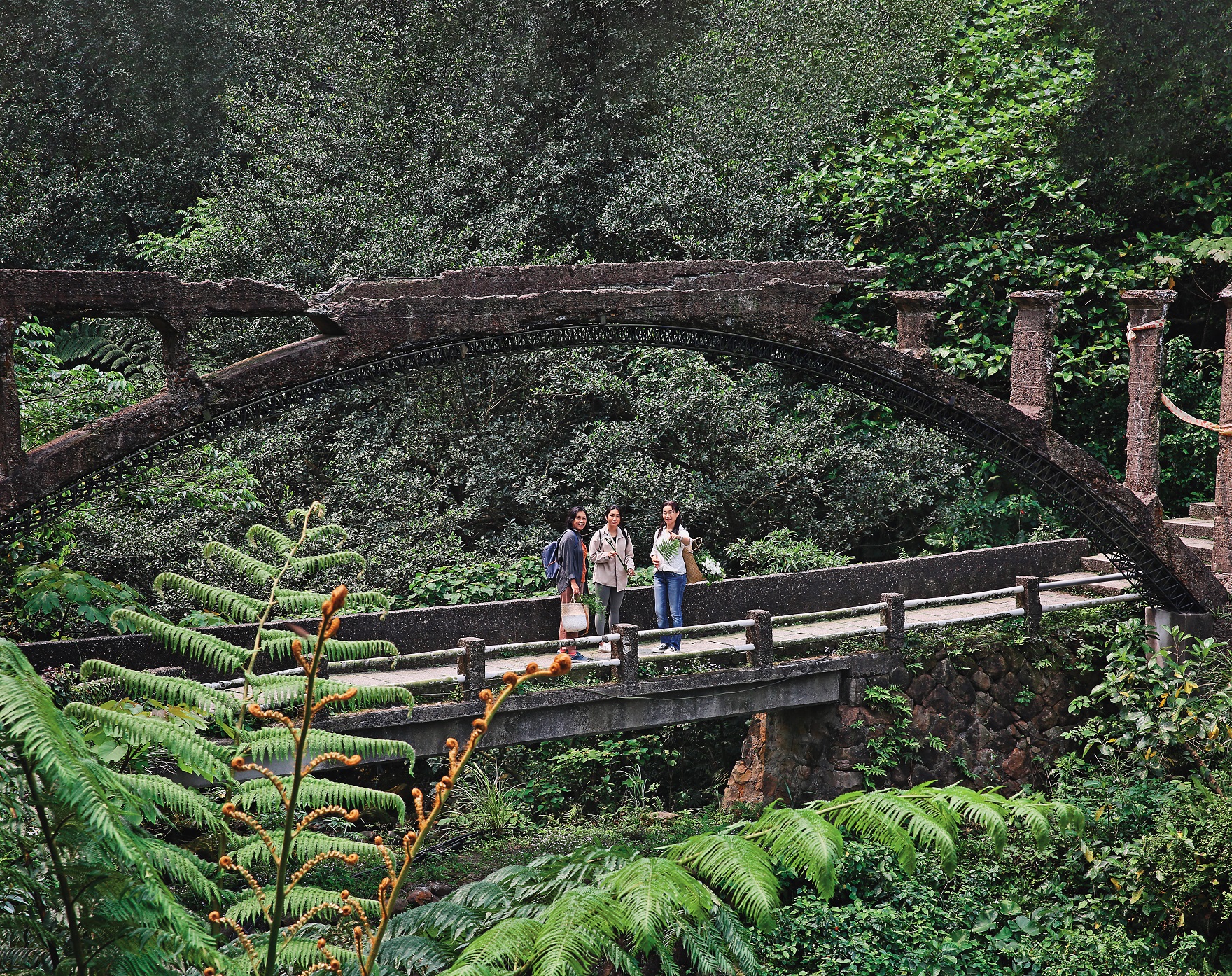 正式花藝課程前，跟著老師一邊進行植物採集、同時走訪金瓜石迷人步道。