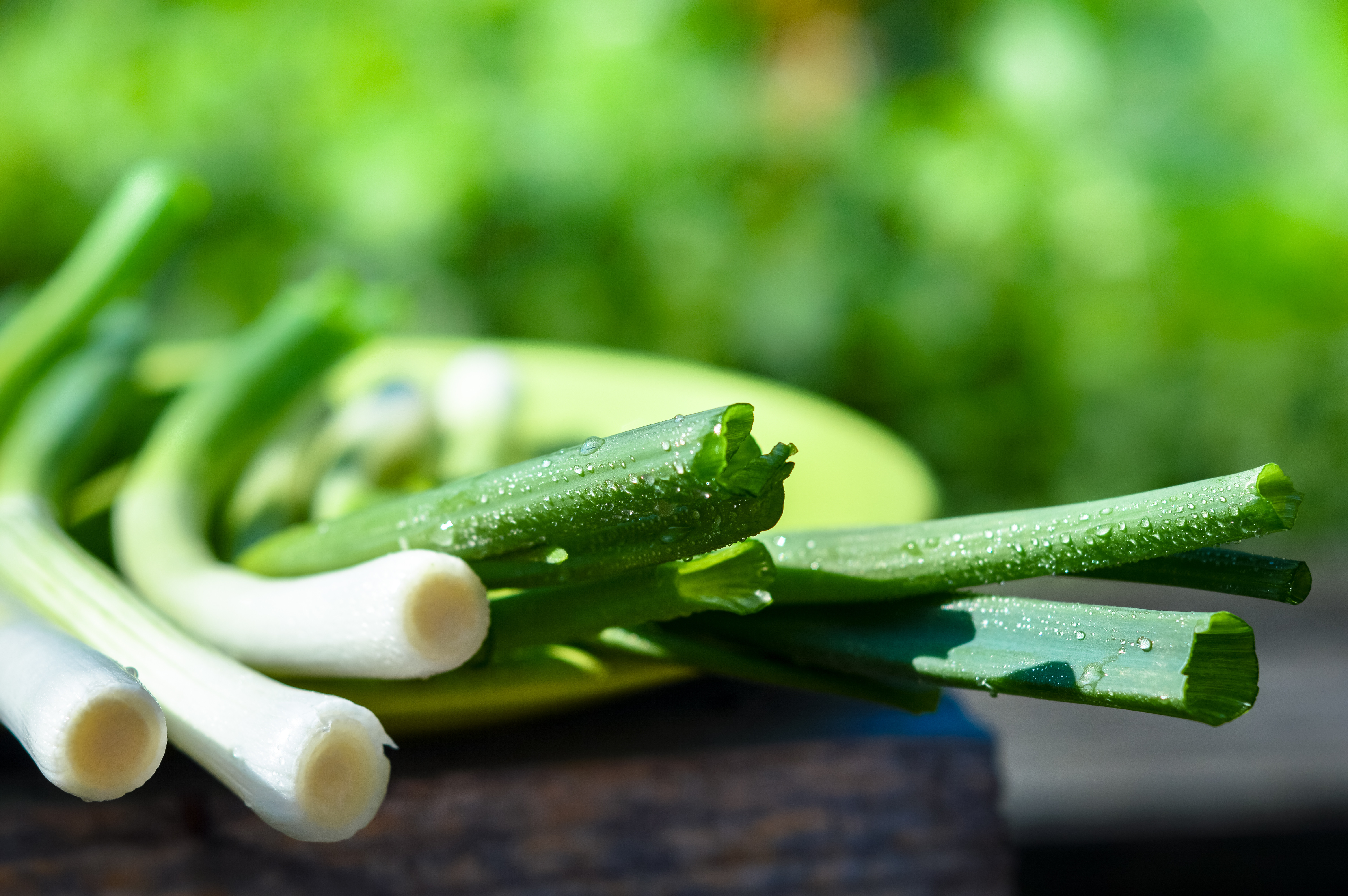 有單身網友在臉書社團上抱怨，上傳統菜市場出價20元想買一根蔥，卻遭到許多攤販老闆拒絕。（東方IC）