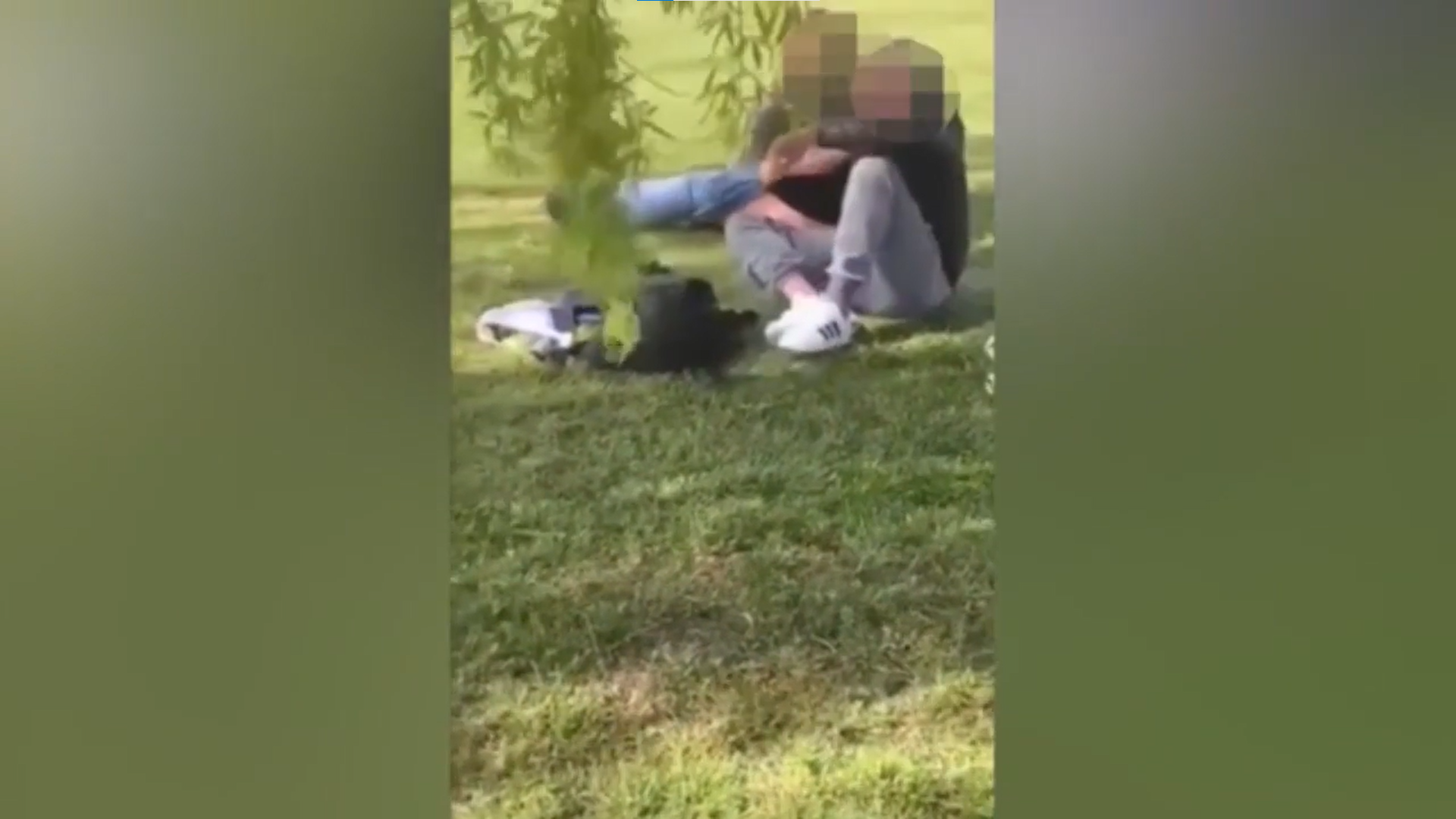 英國一對男女在草坪上公然發生性行為,讓路人相當震驚。(翻攝推特)