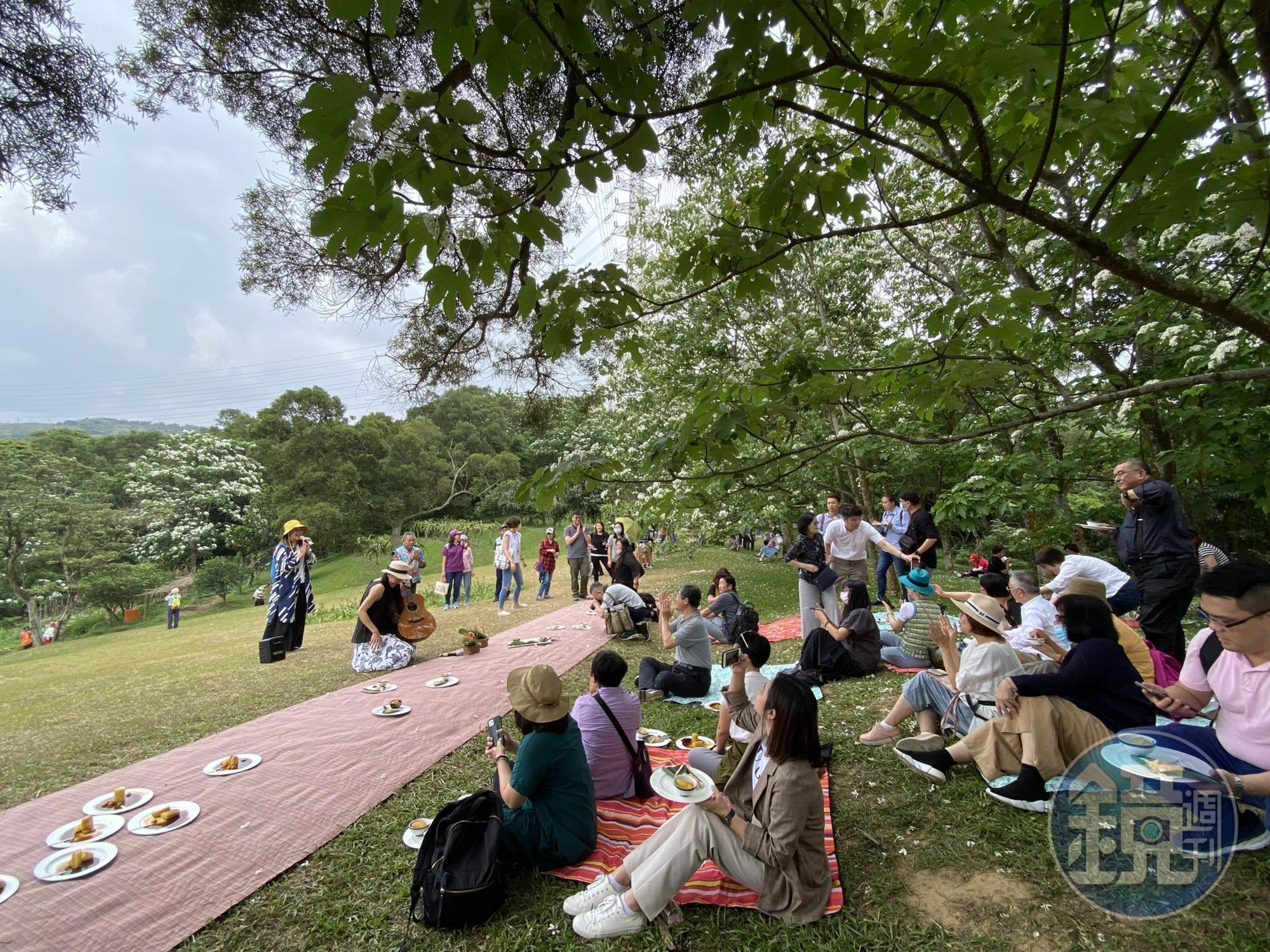 坐在草地上聽音樂、賞桐花,非常愜意。
