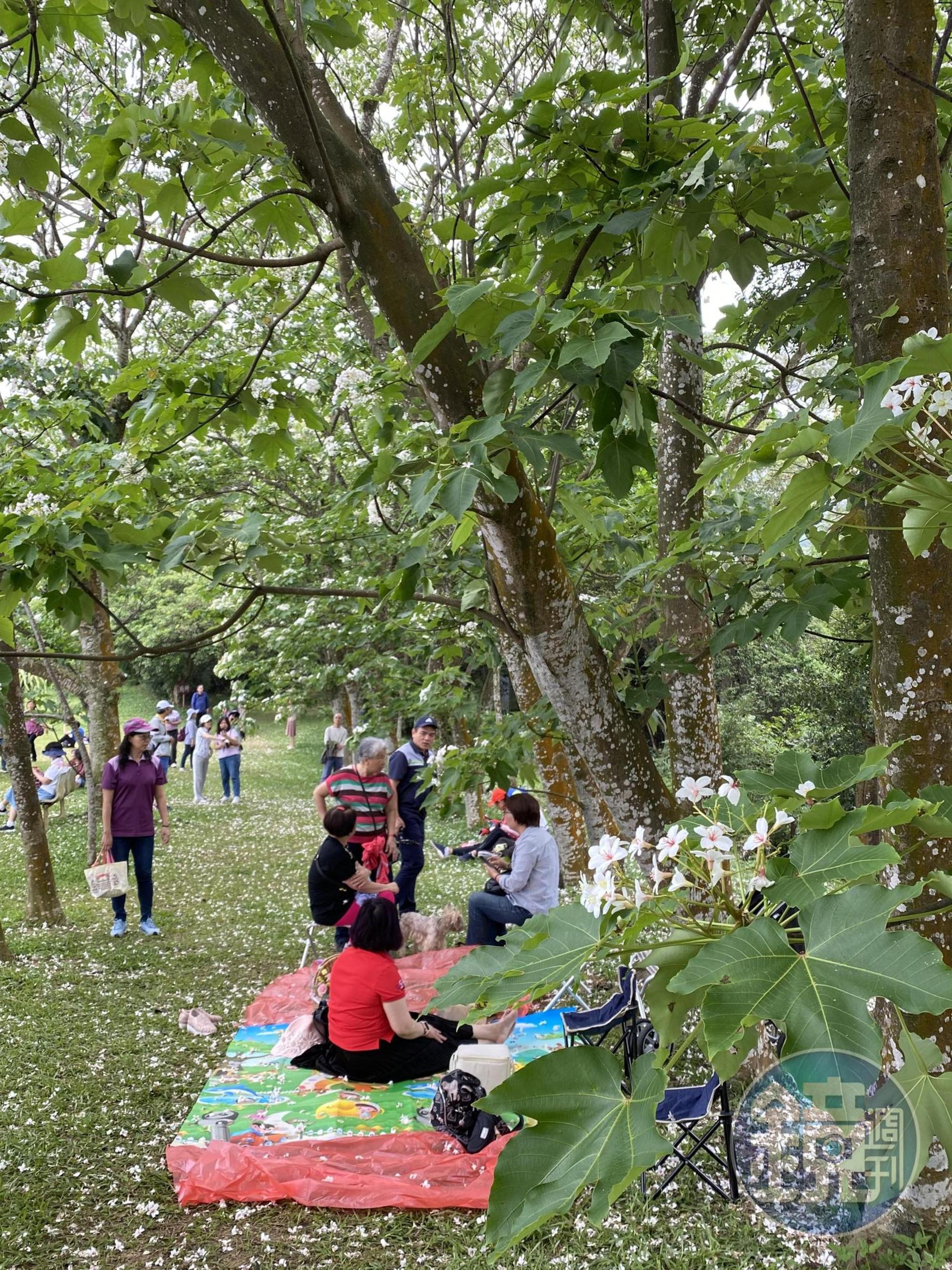 不少旅客都帶著野餐墊來野餐。