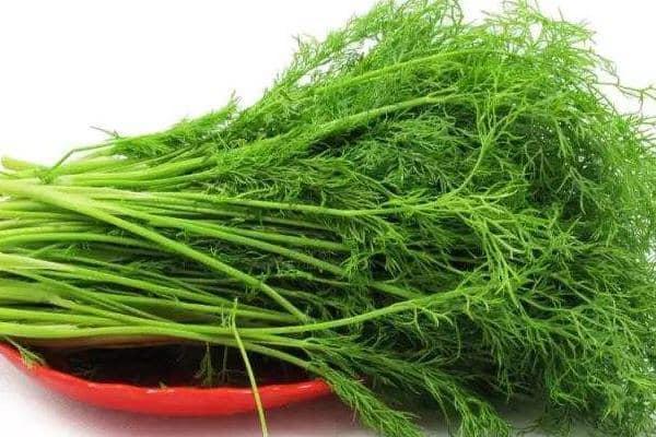 比起大多辛香料,網友指「這種青菜」才恐怖。(翻攝自爆怨2公社)