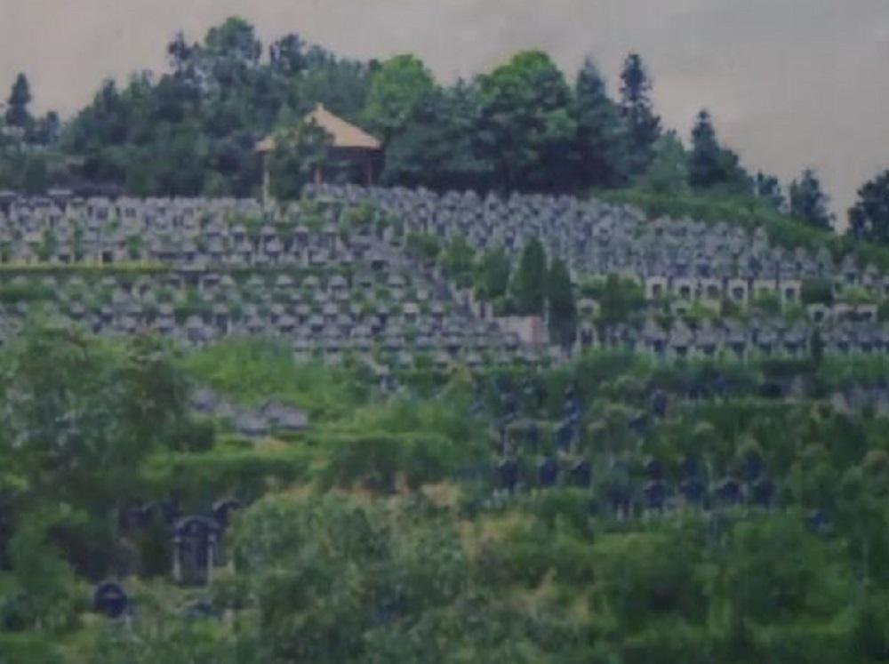 參加旅行團被帶到墓地,幫忙揪團的鄭阿伯聯繫不到旅遊公司的人,讓他百般無奈。(翻攝網易新聞)