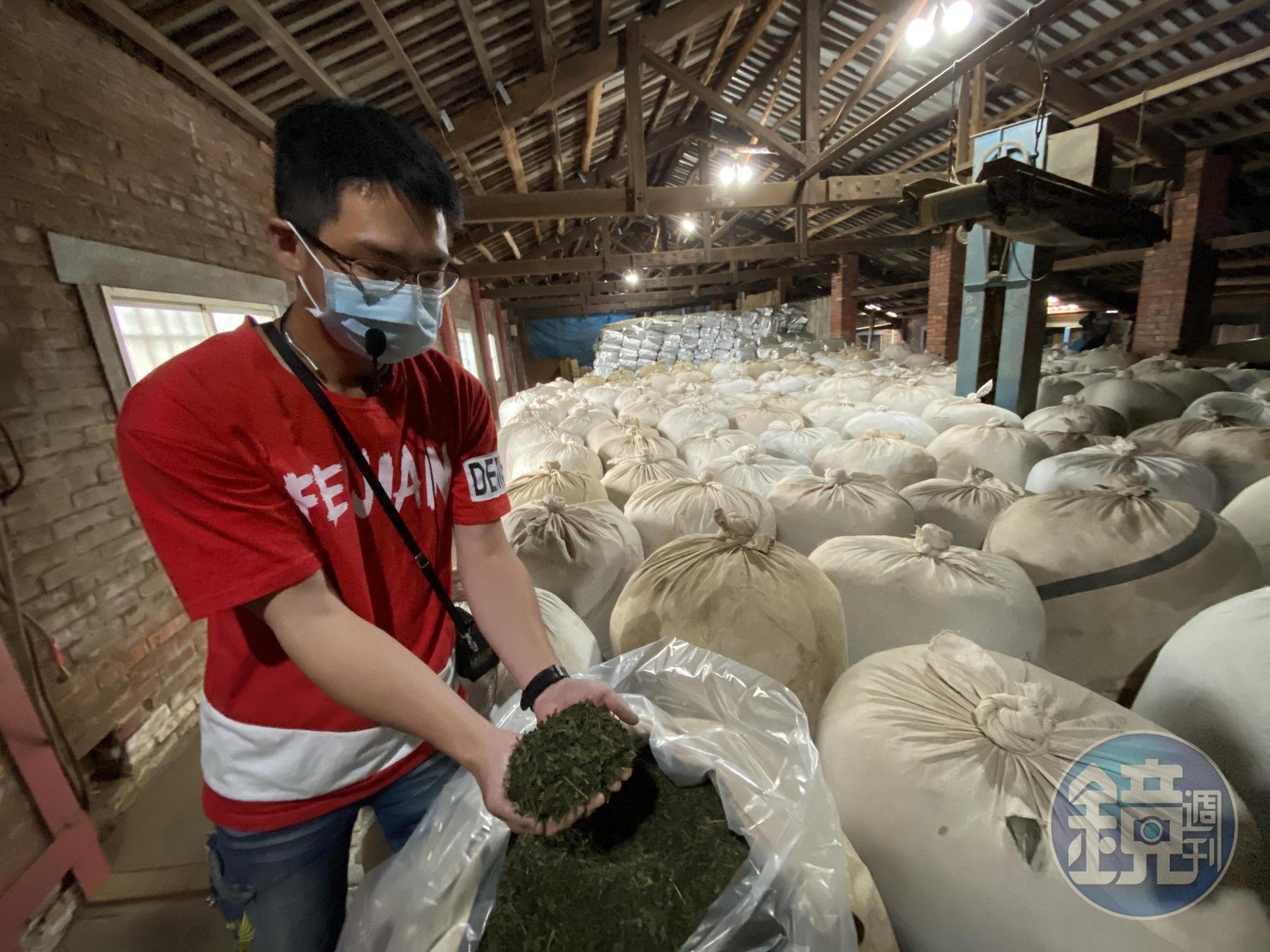 茶廠裡可以看見大量裝袋茶葉，場景壯觀。