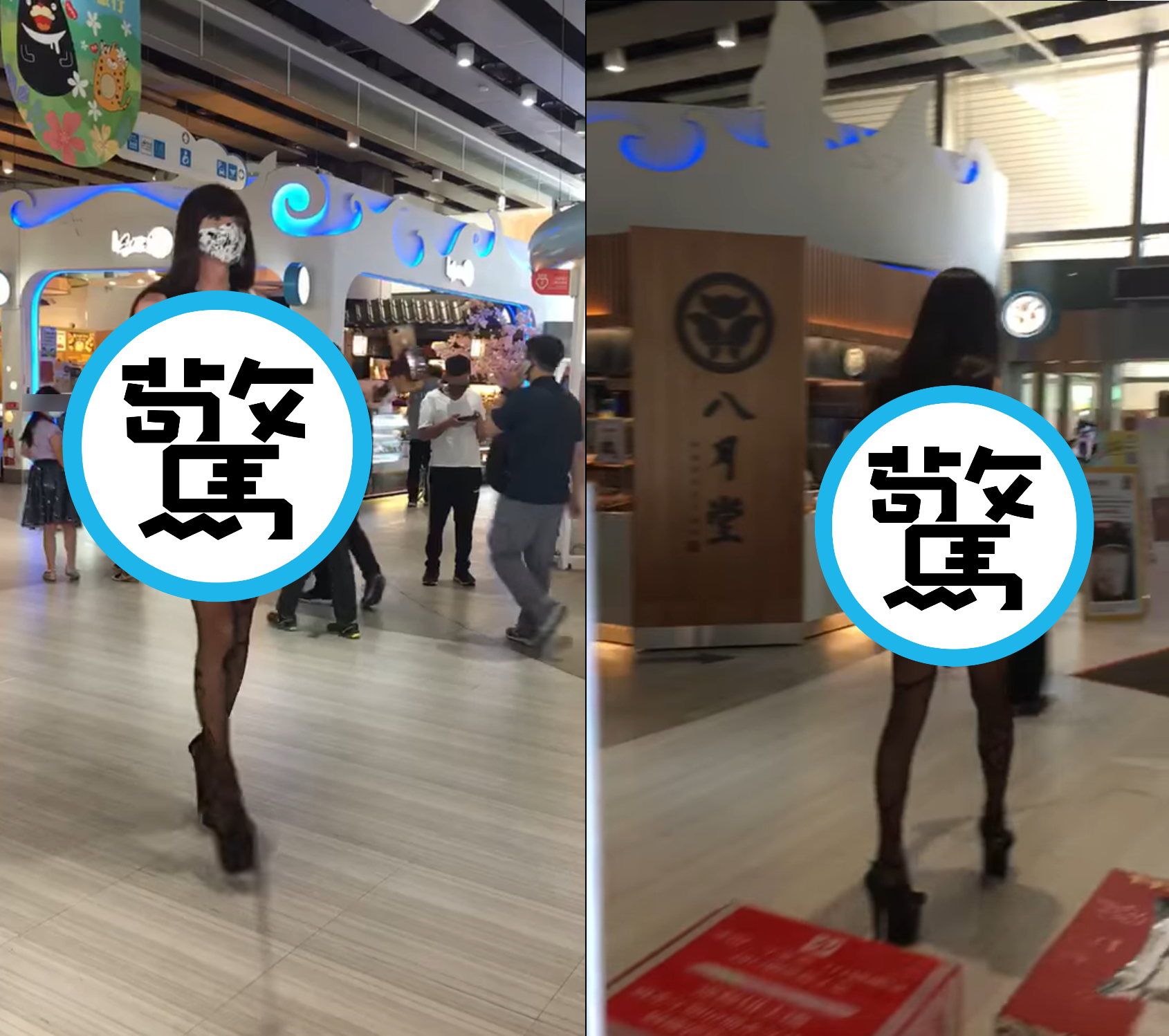 民眾在清水休息站捕捉到好久不見的網紅「大奶酥」。(翻攝自臉書社團「爆料公社(官方粉專專屬)」)