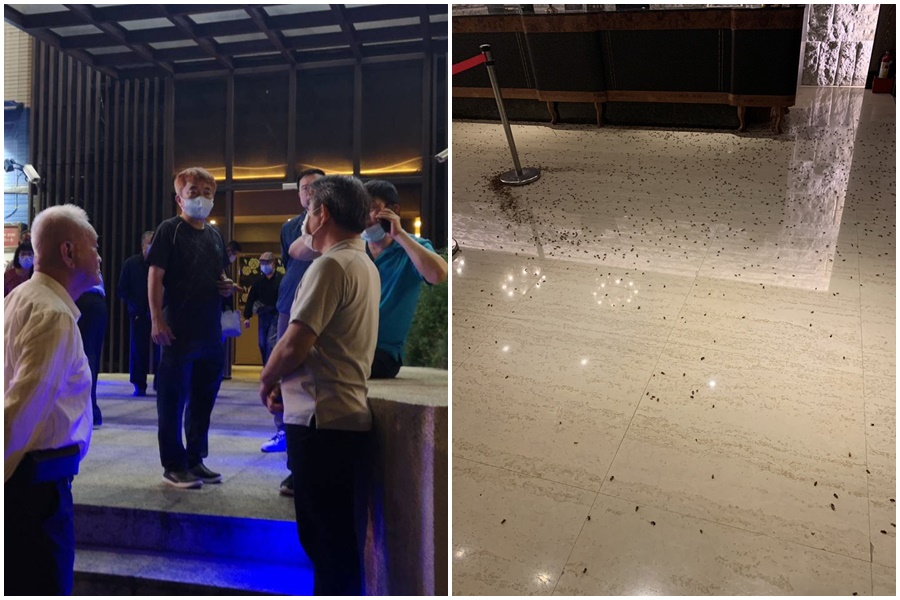 大安區臥龍義警今於舉辦鉅星匯國際宴會廳舉辦交接典禮餐敘，遭人持千隻蟑螂鬧場。（讀者提供）