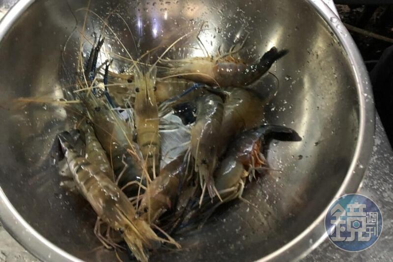 網友看到釣蝦場大叔霸氣送蝦給釣不到的3名正妹，結果令他超羨慕。（本刊資料照）