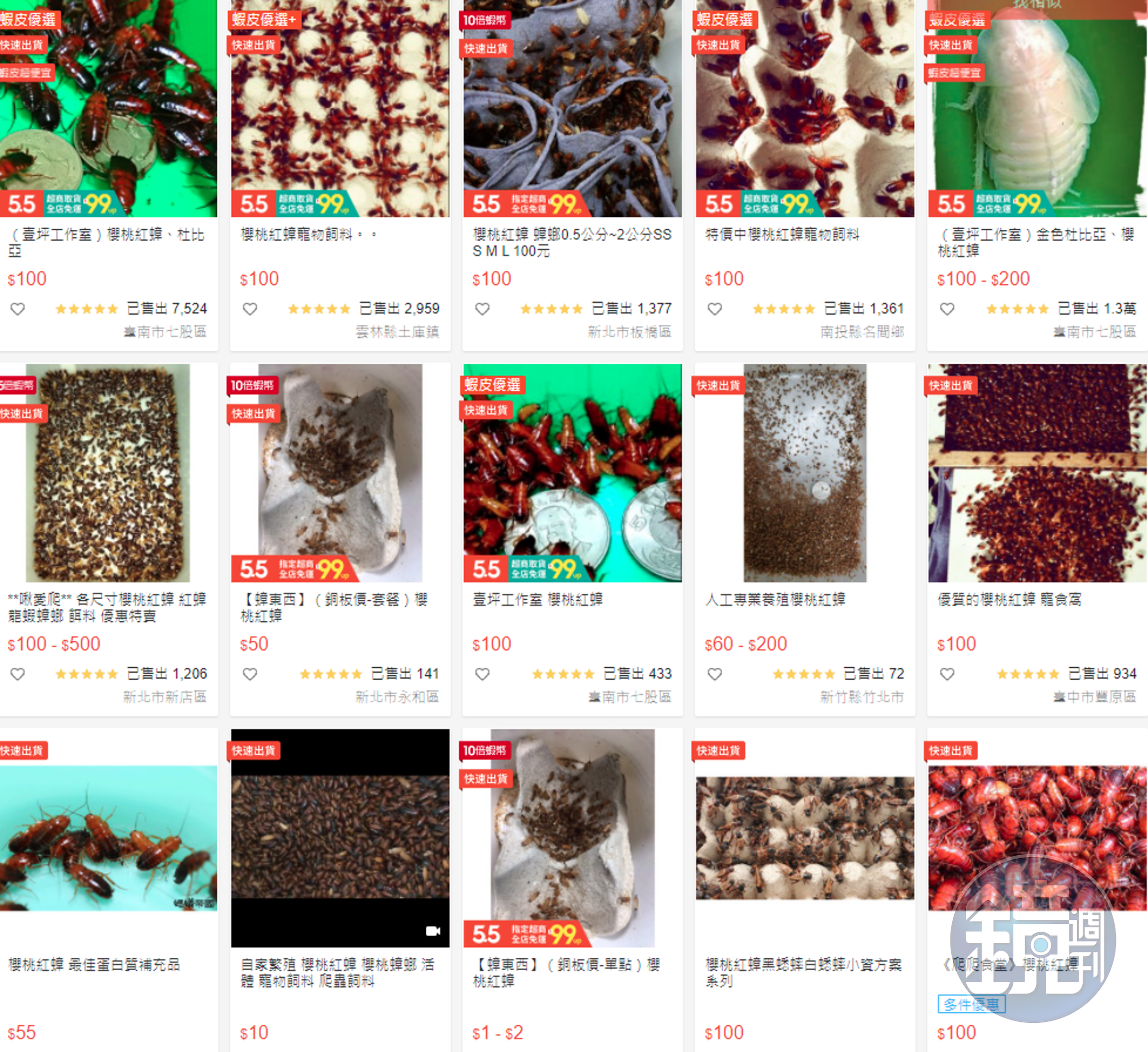 在購物網站上搜尋櫻桃紅蟑螂，就出現許多產品。（翻攝自蝦皮購物）