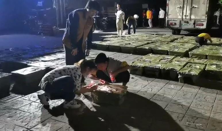 民眾紛紛自願前來照顧盲盒內的小動物。(翻攝自成都愛之家動物救助中心微博)