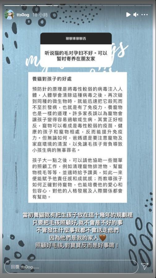 有粉絲勸陳天仁可以將貓咪寄養在朋友家,陳天仁公開回應了。(翻攝自tts0og IG)