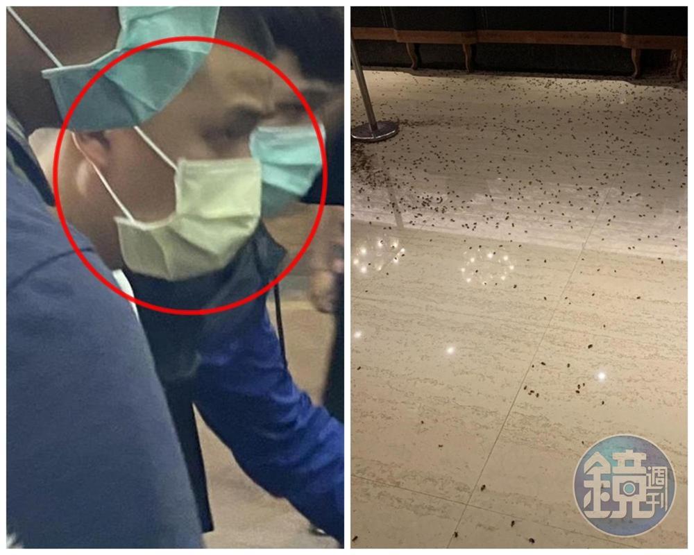 吳嫌向警方自曝,原本準備3袋蟑螂,不料途中掉了一袋,裡面小強全逃走了。(讀者提供)