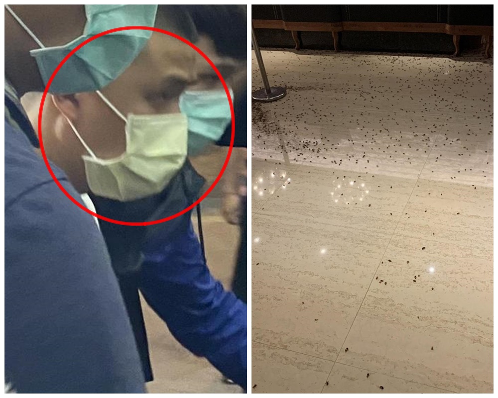 吳嫌向警方自曝，原本準備3袋蟑螂，不料途中掉了一袋，裡面小強全逃走了。（讀者提供）