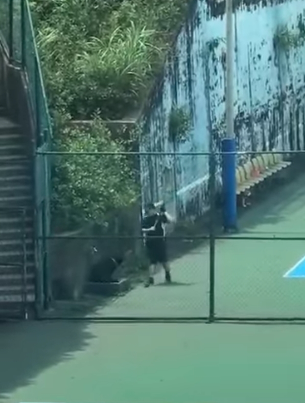 男子高舉球棒作勢要打狗,嚇得牠縮成一團。(翻攝自米克斯傳奇臉書社團)