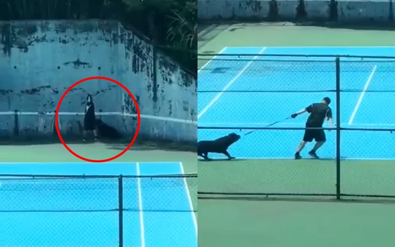 一名男子帶狗跑步，狗狗不願跟著跑就硬拖、抽打牠，事後辯稱是在「訓練」。（翻攝自米克斯傳奇臉書社團）