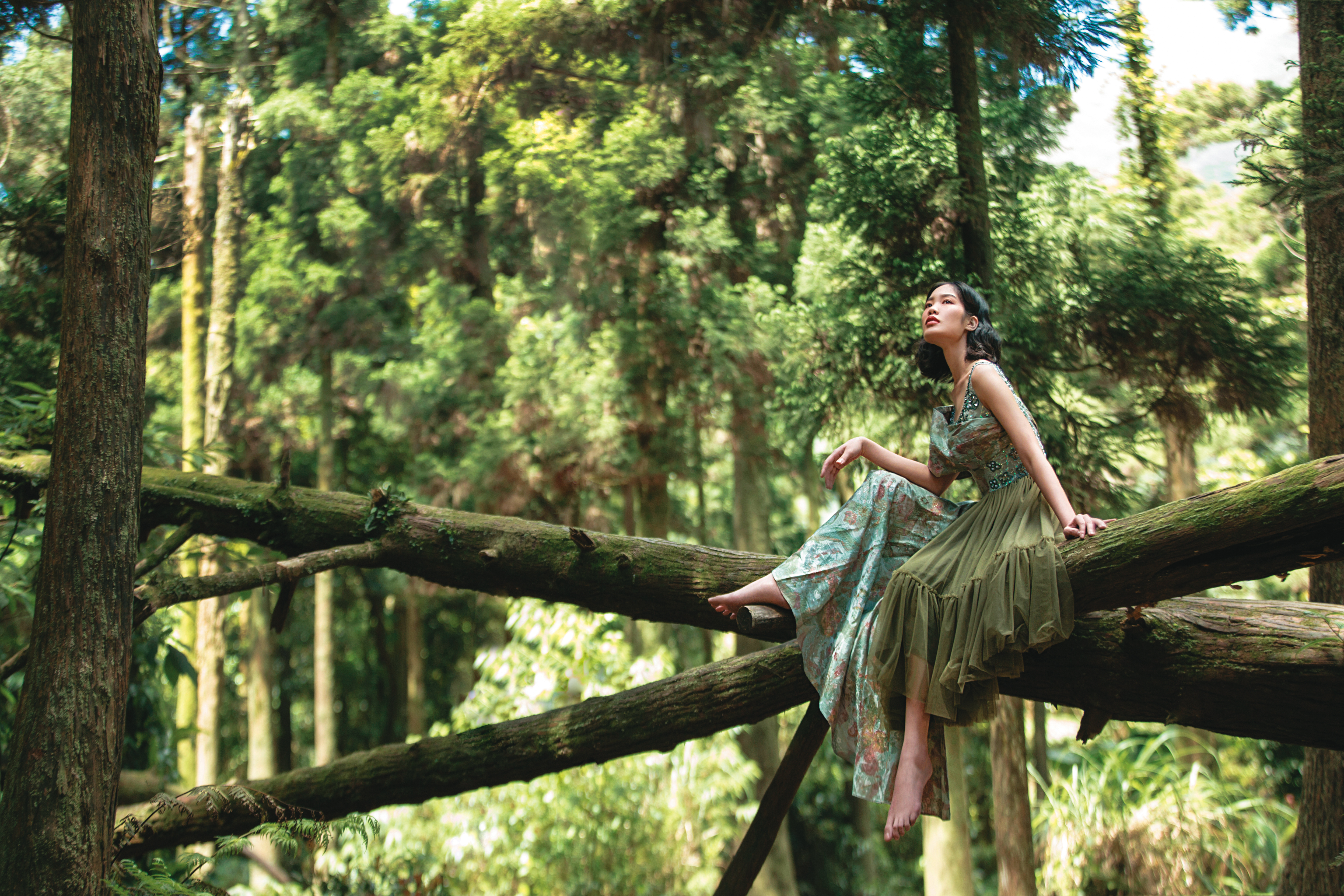 不對稱拼接洋裝 NT$244,800 by MOSCHINO。