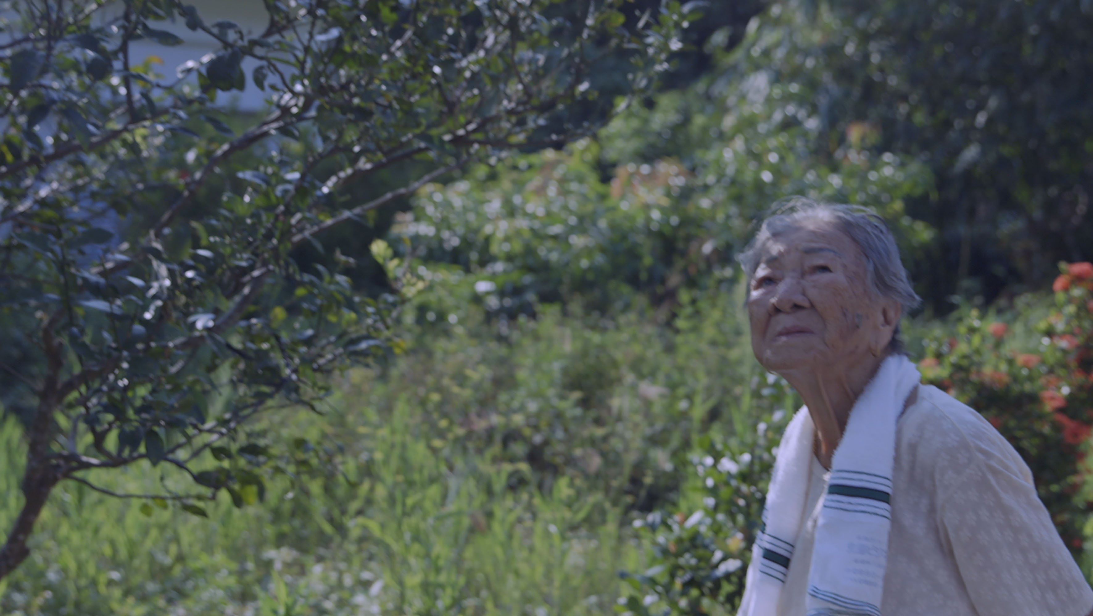 《綠色牢籠》描述二戰前沖繩八重山西表礦坑的台灣移工歷史,同時以台灣移民橋間阿嬤的生平為主線。(希望行銷提供)