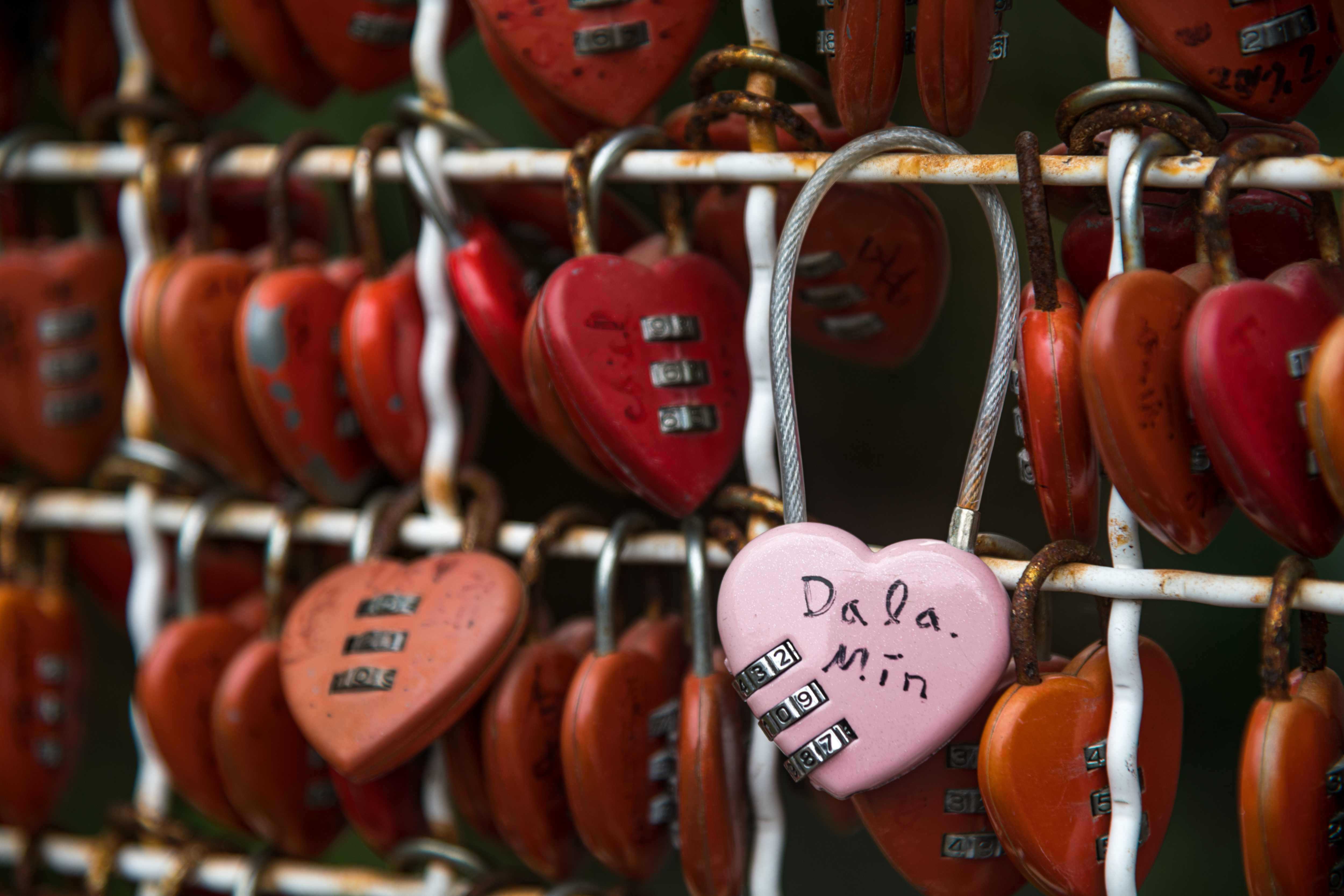 愛情的鎖圈住戀人們的心。