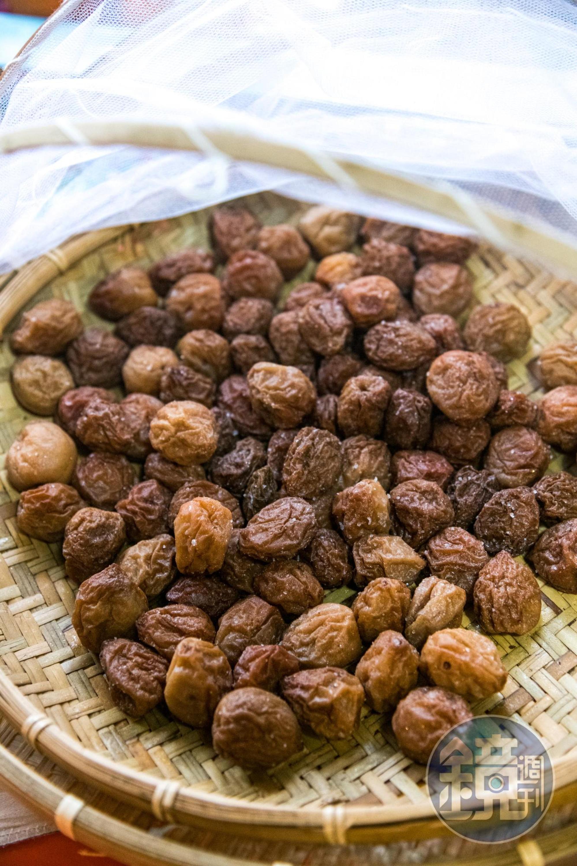 正在曬太陽的梅子們。