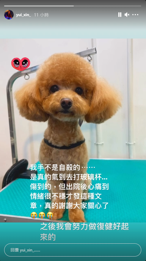 辛尤里深夜報平安,粉絲紛紛心疼表示加油。(翻攝自當事人IG)
